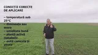 Îngrășămintele foliare explicate corect | Zinc, Bor, Mangan – când și de ce se aplică #agricultura