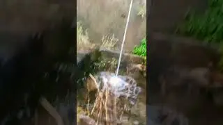 jal hai to kal hai#cool water