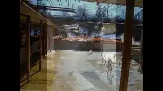 Water Damage Basement Clean Up Sewage Extraction Nyack NY 10960| 24/7 Property Cleaning