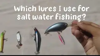which lures I use for salt water fishing?#fishinginindia #tackle #saltwaterlife #viralvideo