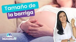 Mitos y verdades sobre el tamaño de la barriga en el embarazo | Maternar.co