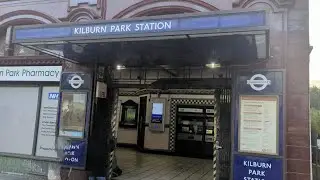 Kilburn Park Station ticket booths turned into terrariums (Tiny Parks) (28/08/2023)!