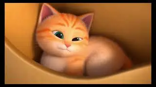 Это Сема! (наш котенок) #music #kitten #joy