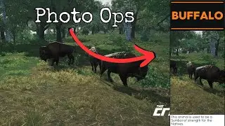 THE CREW 2 - Photo Ops - Buffalo (Wildlife)