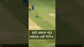salat in field