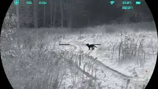I missed the fox! &ndash; RIX LEAP L6R V2