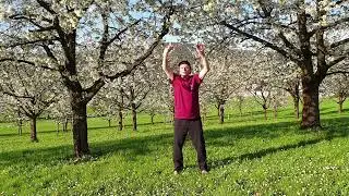 Qigong  Die 8 Brokatübungen 5 - 8