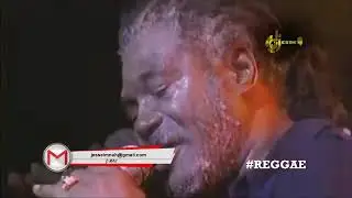 BEST OF DJ JESSE REGGAE 2024 fet.BERES.GLEN,LUCIANO