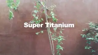 Crystolac&reg; Super Titanium&reg; Special Effects Paste