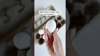 Ovulation explained in 15 seconds 🥚 #ovulation #ovulationtips #ovulationday #menstrualcycle