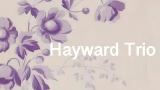 Abba: Our Last Summer: The Hayward Trio