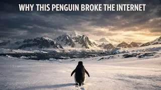 &ldquo;Lonely Penguin Viral Trend Explained | Penguine ke Peeche Ka Real Story&rdquo;