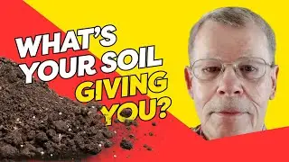 Dr. Emerson Nafziger: Nitrogen Fertilizer Rates for Corn
