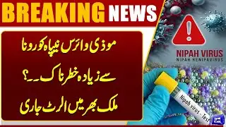 High Alert | Risk of Deadly Nipah Virus Reaching Pakistan | Breaking News |  Dunya News