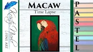 Macaw Drawing in Pastel Pencil