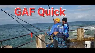 GAF QUICK #Daiwa #michaelandangiefishinghadventures