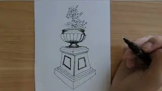 I Drew An Outdoor Potted Plant