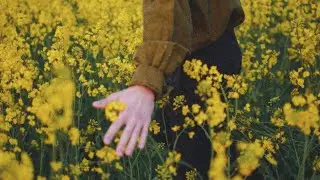 [FREE] Ed Sheeran X Acoustic Guitar Type Beat | Pop Instrumental | 