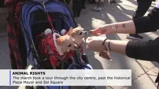 Four-legged friends fight against animal abuse