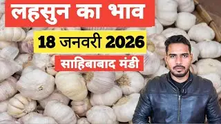 18 January 2026🧄लहसुन का भाव साहिबाबाद मंडी | toady garlic rates #garlic #lehsun #lehsunbhav 