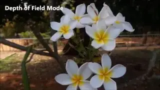 Zenfone Zoom Camera test Sample photos