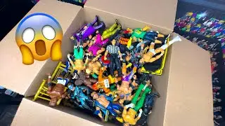 I BOUGHT A HUGE BOX FULL OF WWE ACTION FIGURES!