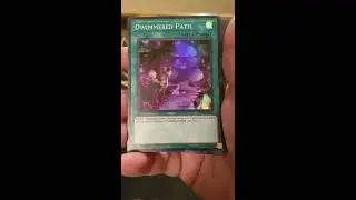 Order Of Spellcasters Opening