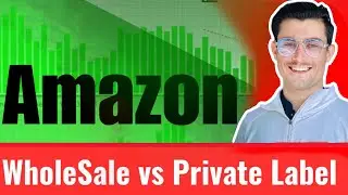 Amazon Wholesale vs Private Label in 2025 | Best Amazon FBA Business Model Explained in Urdu/Hindi