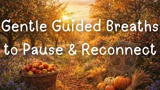 Midweek Exhale: Gentle Guided Breaths to Pause & Reconnect - The Exhale Awakening
