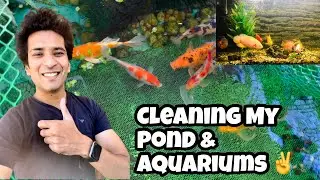 Cleaning Balcony Pond | Aquarium Cleaning Tips | Importance of Cleaning Aquarium | Indian Aqua Boy03