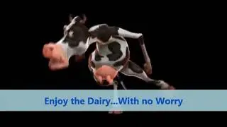 Ya to milk products have yamoo