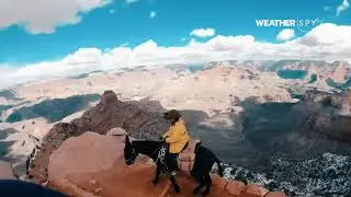 Mule Riding Along the Grand Canyon