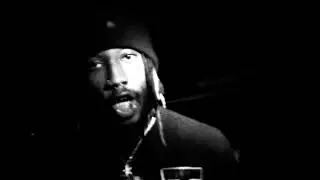 S.V HAILEI - HITMAN FREESTYLE (Official Music Video)