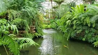 Garfield Park Conservatory Chicago 2019