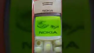 Nokia 1100 (1101/1108). Видео обзор.