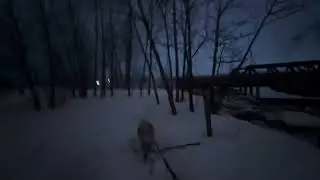 Ship Creek Anchorage, Alaska walking with me doggos