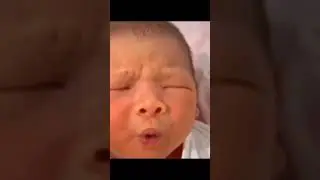 Baby whistle notification sound meme