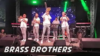 BRASS BROTHERS 🎺 🎵 ПРЕСПАНСКИЙ ЯБОЛКОБЕР 2025 🍎🎵 ПРЕСПАНСКИЙ ЯБОЛКОБЕР 2025 🇲🇰