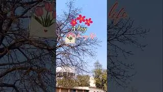 Day 6/30 vlog 🌻 #dailylife #minivlog #dailyvlog #working #youtubeshorts #study #vlogger #vlog