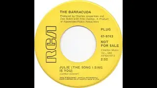 The Barracuda - Julie (the Song I Sing Is You) 1968-1969 ((Stereo))