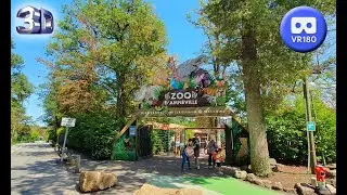 Zoo Amneville part1 VR180 3D 20 Aout 2023