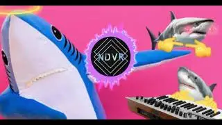 Cute Sharks - NDVR