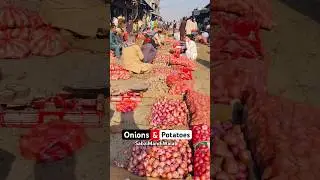 Onions and potatoes update #tomatoes #tomato #vegitablemarket #foodprice #edm #tomata #duet