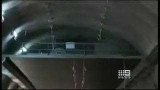 NSBT - News Story on the opening of the Central Canopy