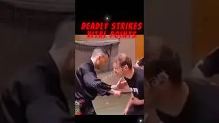 Dim Mak: Vital Points of the Human Body. #warrior #martialarts #shaolin #wingchun  #kungfu