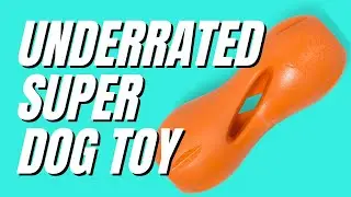 West Paw QWIZL DOG TOY - how we use it #dogtoy #canineenrichment #dogtoys