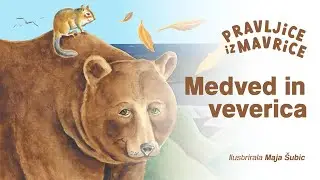 Pravljice iz Mavrice | Medved in veverica | Amurska ljudska pravljica
