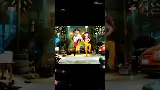 Dans Show #show #shorts #funny #cat #rod