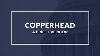 Political Copperheads: Unveiling the Controversial Faction of the American Civil War