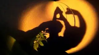 projection theatre 01 - sunset shadow